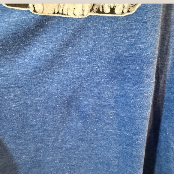 Celebrate Patriotic Cat Graphic T-Shirt Womens Size Large - Picture 4 of 5